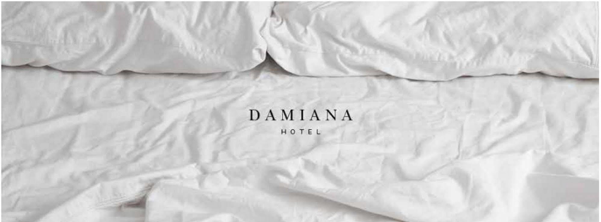 Hotel Damiana Boutique Querétaro Zewnętrze zdjęcie
